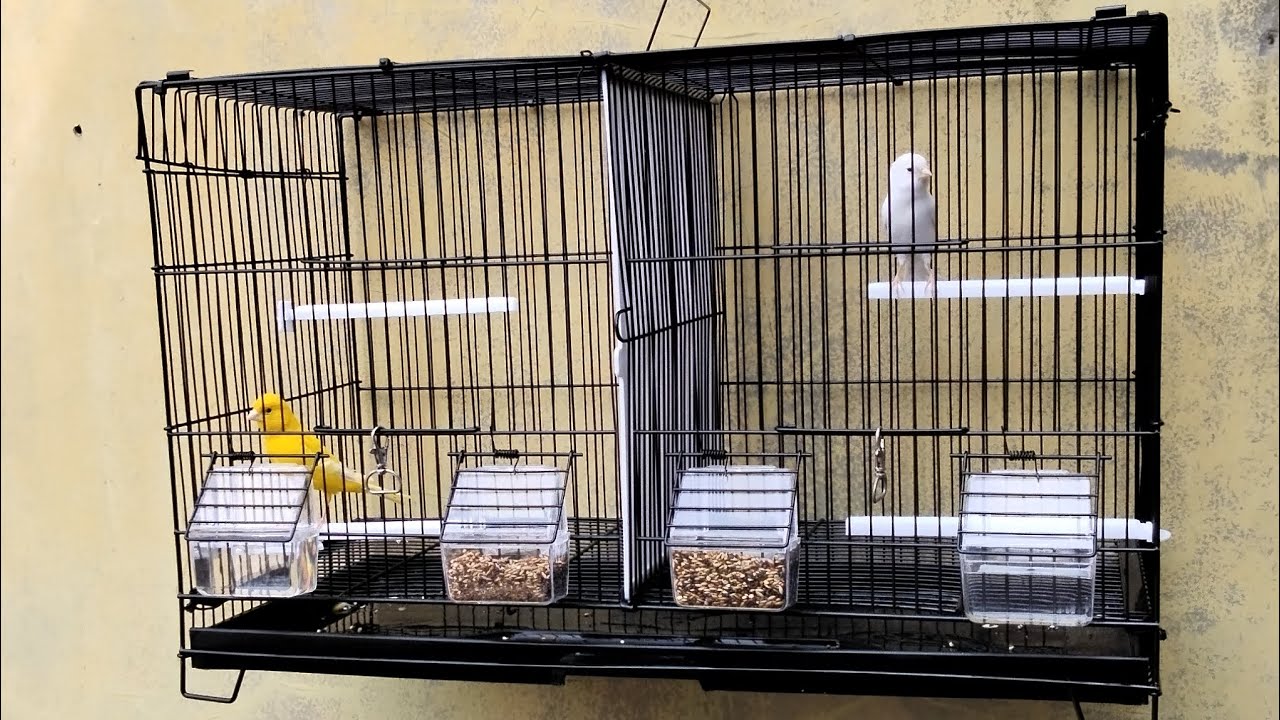 UNBOX Kandang burung  besi sekat 60x30x40