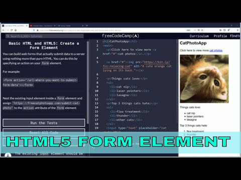 Create a Form Element Free Code Camp Org Basic HTML and HTML5