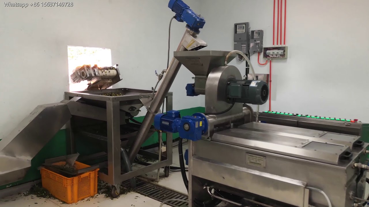Olive oil extraction plant YouTube