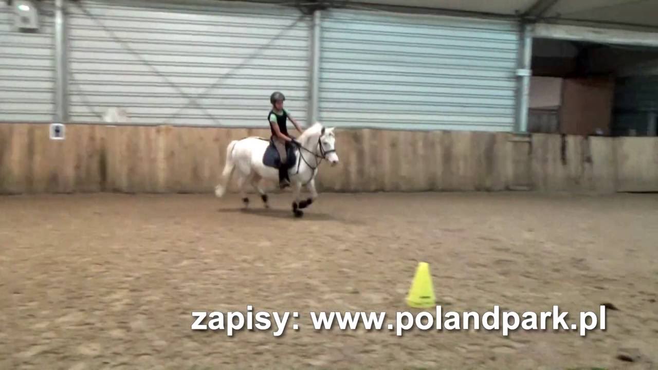 SKJ Poland Park - 20160915 trening skokowy wersja full hd