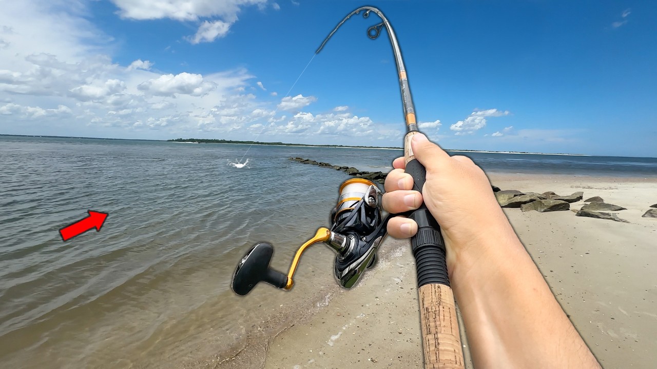 I Can't Leave This Beach Until I Catch DINNER! (Catch & Cook)