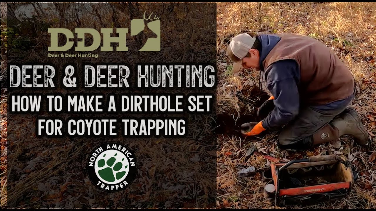 ОХОТА НА ОЛЕНЕЙ ~ Как сделать набор для ловли койотов