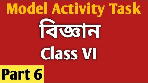 Class 6 Science Model Activity Task Part 6/Poribesh o bigyan Model Activity Task Part 6/September
