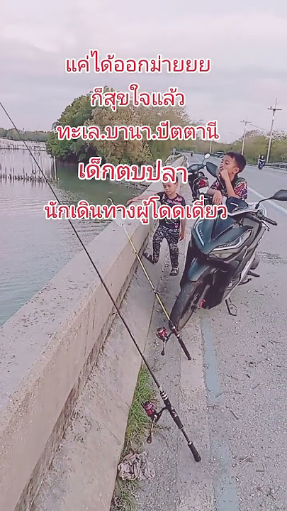 #football #cat #humor #ไทย #colonelkkjϟ #kitten #birds #automobile #diy #memes