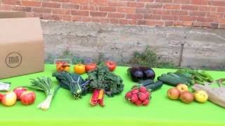 City of El Paso - Farm to Work Pilot