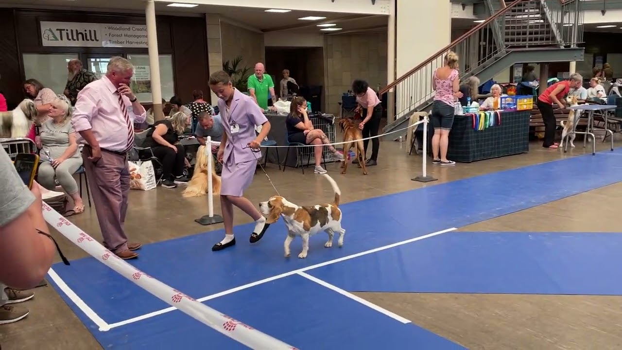 Upperward of Lanarkshire Open Show - Beagle Open