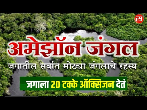 Amazon Forest | अमेझॉन जंगल | जगातील सर्वात मोठ्या जंगलाचे रहस्य | जगाला 20 टक्के ऑक्सिजन देतं