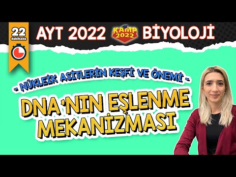 DNA’nın Eşlenme Mekanızması | AYT Biyoloji #Kamp2022