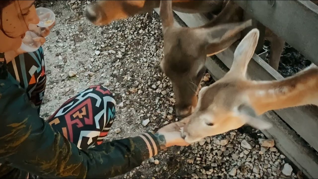 Slovenija Eco resort- Glamping