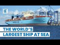 Maersk line  triplee this huge ship can carry 18000 containers