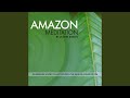 Amazon rain forest om