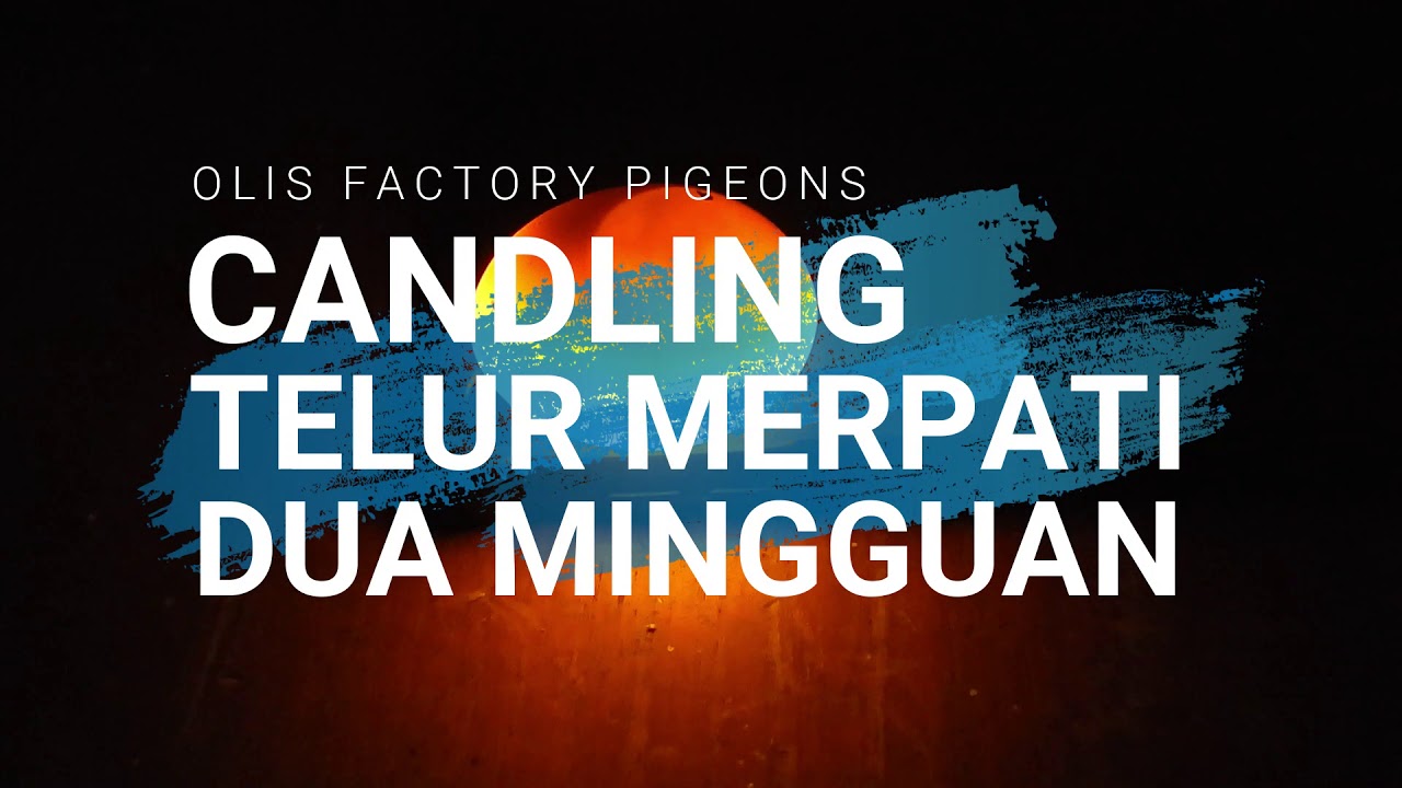 Трап тренинг