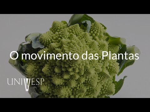 Vídeo: O Movimento Das Plantas E Seus órgãos