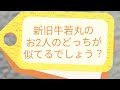 平成＆令和の牛若丸こと舞の海と炎鵬のしょうもないそっくり動画の詰め合わせ