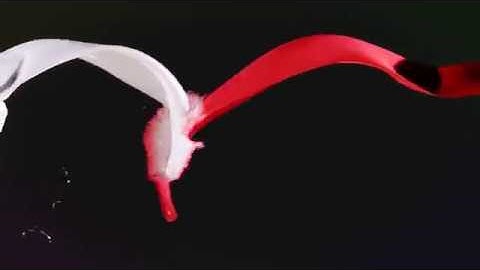 Video Logo Intro / Outro - Paint Splash Logo