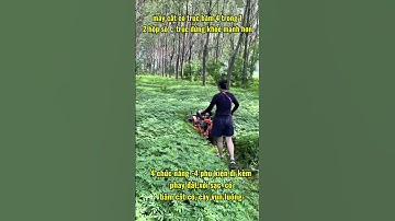 Máy cắt cỏ trục băm 4 trong 1/ 2 hộp số trục đứng khoẻ / có đủ máy xăng và máy dầu#maynongnghiep