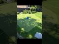 Transform backyard to a putting greens. #golf #landscape #turf #lawncosac