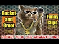 Rocket Thug Life Moments Hindi | Rocket Funny Clip | Guardians Of The Galaxy Funny Scenes | Yttrends