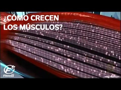 Video: Cómo desarrollar músculos atrofiados (con imágenes)