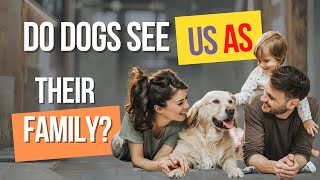 Do Dogs See Us As Their Family?