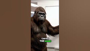 How To Launch a Meme Coin And Make $5k Fast (WITH PROOF)