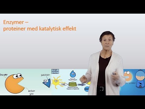 Video: Hva er biomedisinsk vitenskapskonsentrasjon?