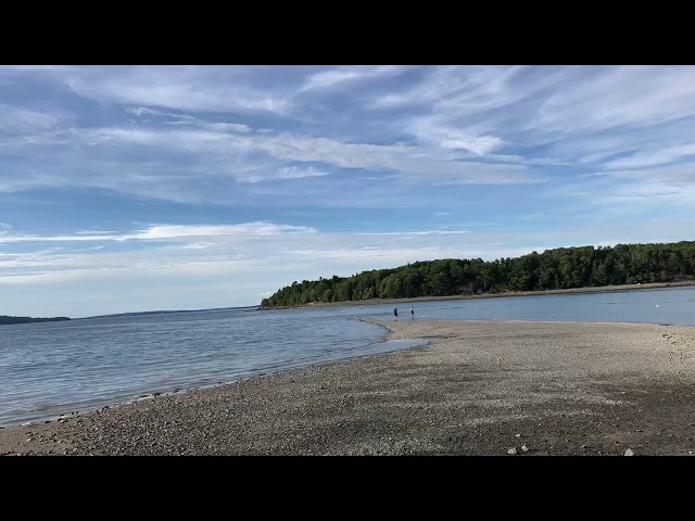 Best Bar Harbor Tide Chart: Accurate Predictions 3 sddefault