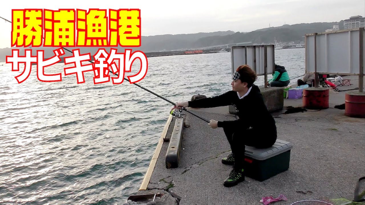 勝浦漁港 初めての サビキ釣り Youtube