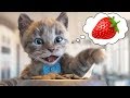 Little Kitten My Favorite Cat Care - Little Kitten Preschool  Animation Learning Colors Gameplay