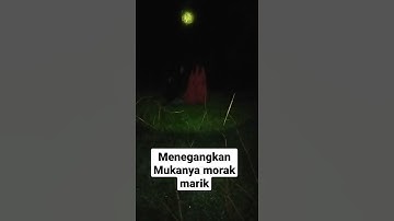 kuntilanak merah menangis #shorts