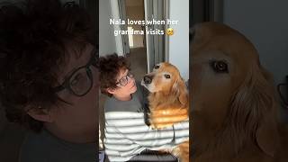 My dog loves her grandma 🥰