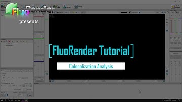 FluoRender Tutorial: Colocalization Analysis