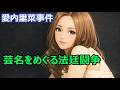 【愛内里菜芸名使用事件(東京地判令和4年12月8日)】事務所との契約終了後に無許可での芸名使用を禁止する条項は公序良俗に反して無効になる?!