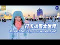 Live: Inside China's frozen wonderland