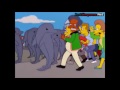 Springfield vs The Dolphins