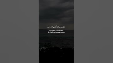 سورة الانبياء #القارئ_بلال_دربالي