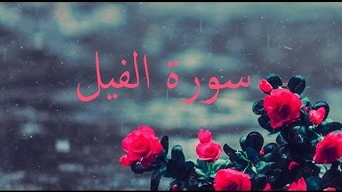 سورة الفيل 105