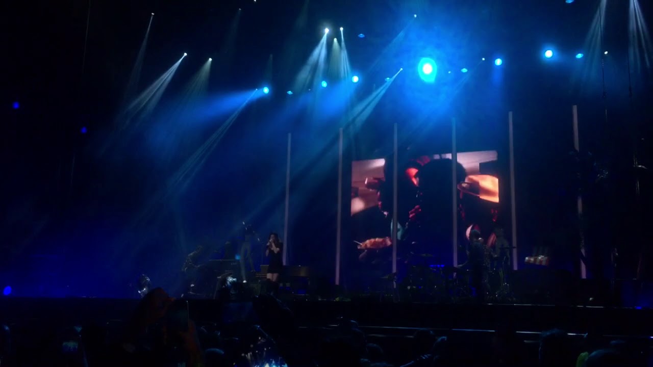 Lana Del Rey – National Anthem @ Lollapalooza Brazil 2018