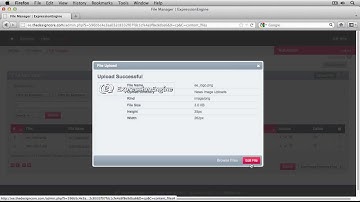 Episode 3 : The File Manager | ExpressionEngine
