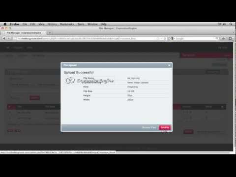 Episode 3 : The File Manager | ExpressionEngine