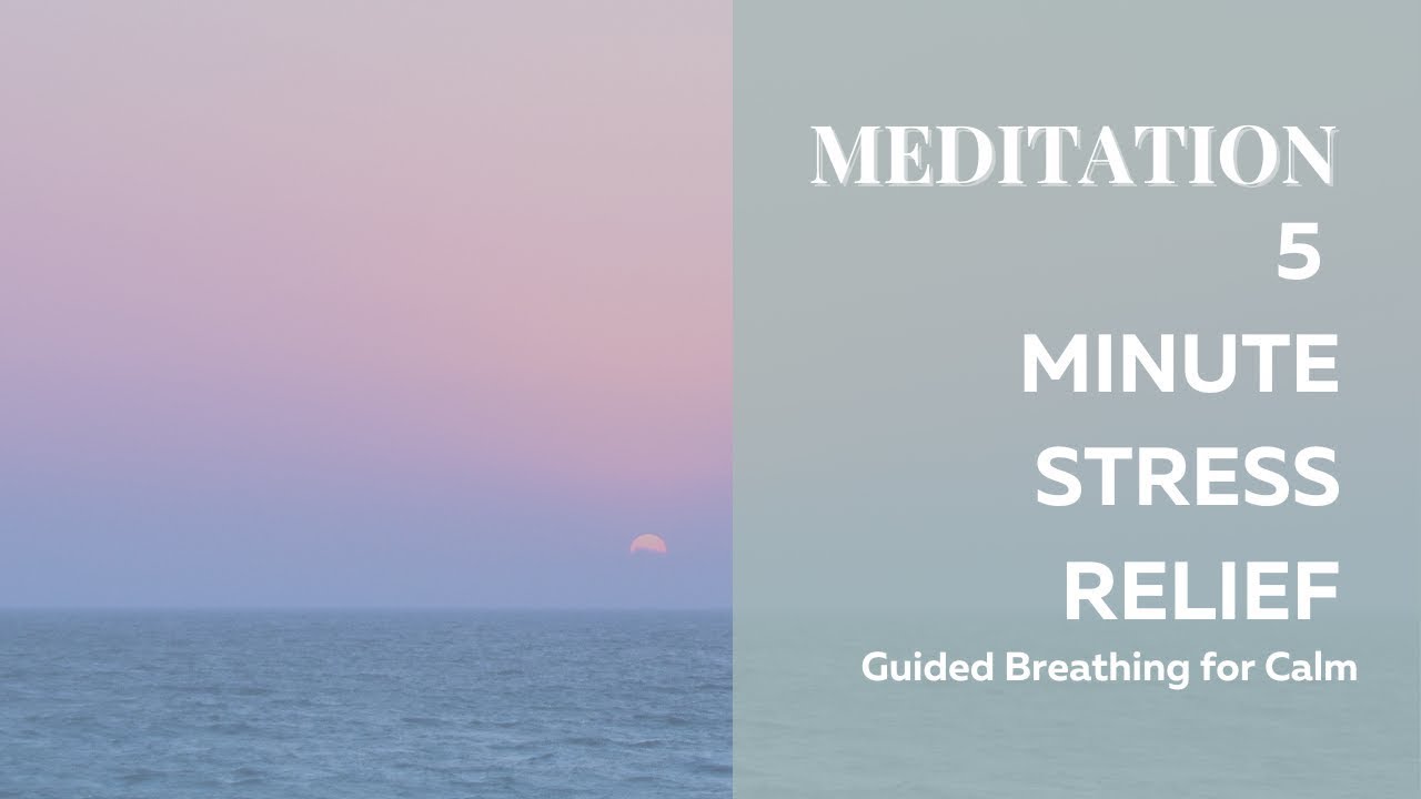 5 Minute Stress Relief Meditation | Guided Breathing for Calm - YouTube