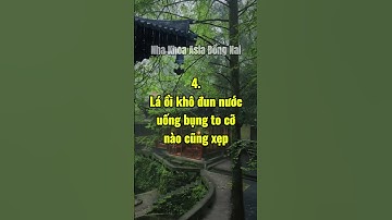 5 Công dụng tuyệt vời của lá ổi #chiasekienthuc #cuocsong #baihoccuocsong