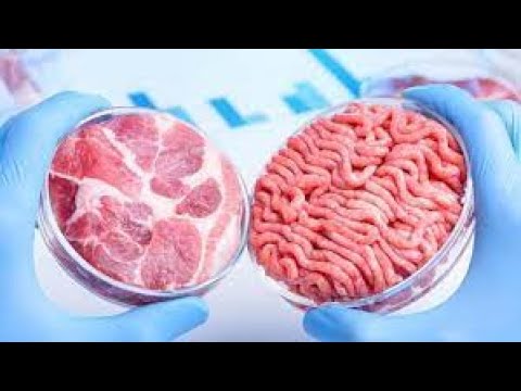 Vídeo: La Carne Artificial Pondrá Nuestro Mundo Patas Arriba - Vista Alternativa