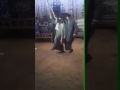 نجع الشيخ حمد بسوهاج