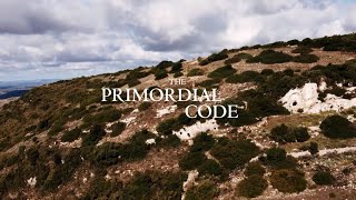 The Primordial Code 🇳🇱 🎥