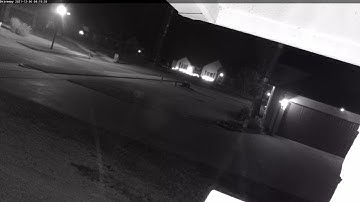 Pack of Coyotes on Axis Q1941-E Thermal and Q3505 MK II