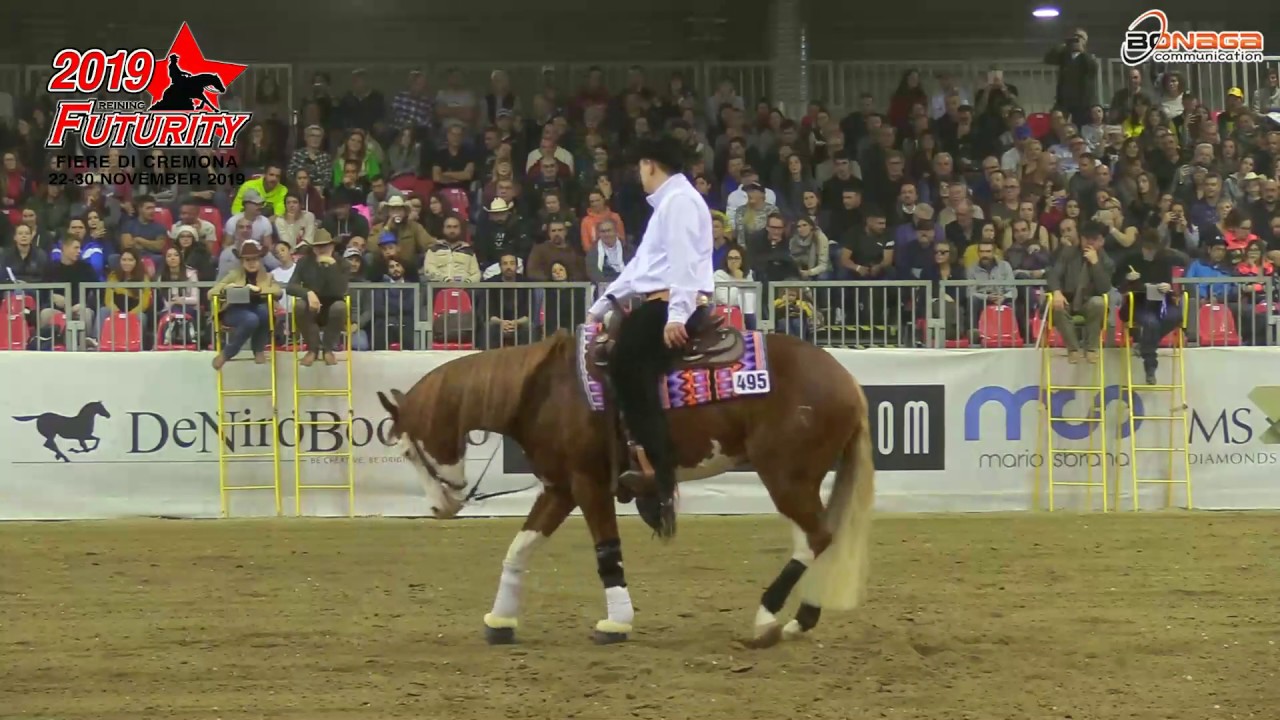 Futurity 2019 - LUKAS CZECHOWICZ & COPYRIDE score 223,5