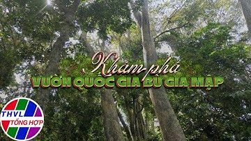 Nam Bộ du ký: Khám phá Vườn quốc gia Bù Gia Mập