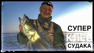 Супер клев судака. Ладога. Тролинг судака. Июль2020