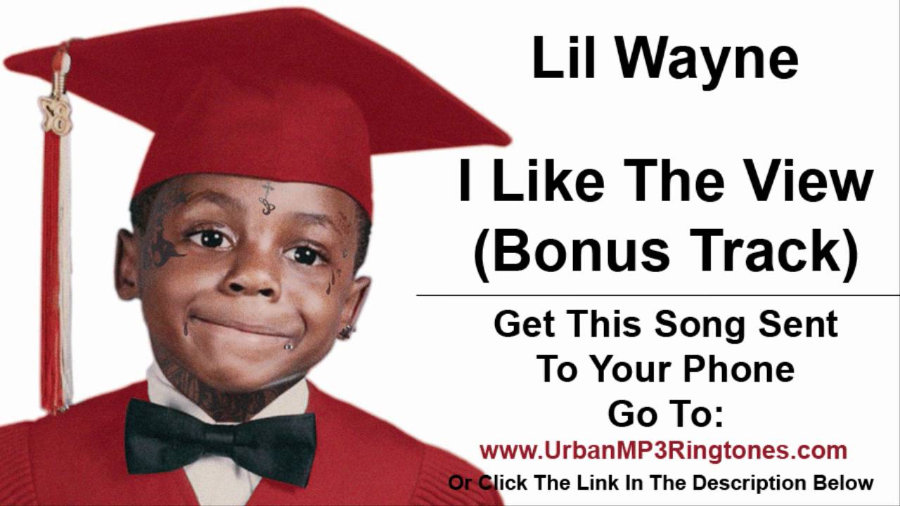 i like the view lil wayne